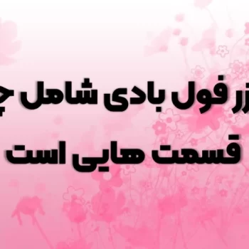 لیزر فول بادی شامل چه قسمت هایی است